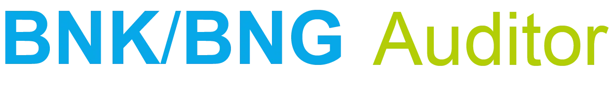 BNK/BNG Auditor
